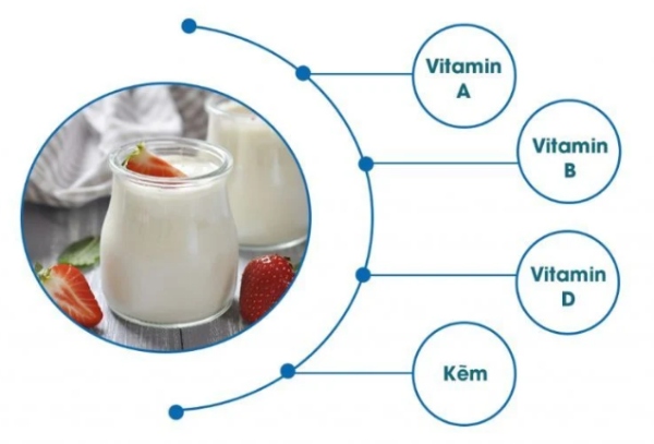 Sữa chua có nhiều vi sinh vật có lợi tốt cho hệ tiêu hóa
