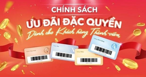 Những ưu đãi khi mua hàng tại Bibo Mart
