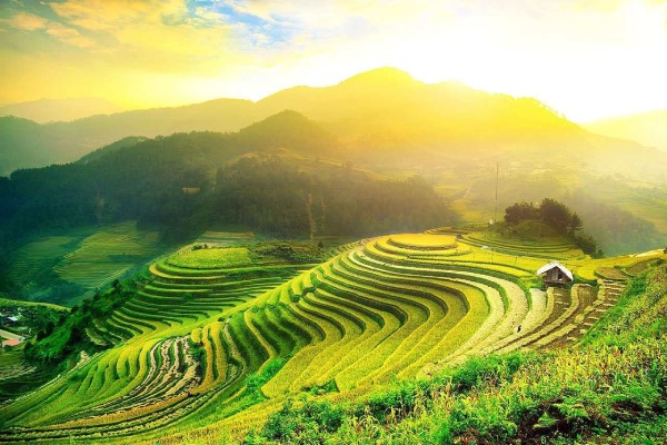 Ruộng bậc thang Hoàng Su Phì - Hà Giang