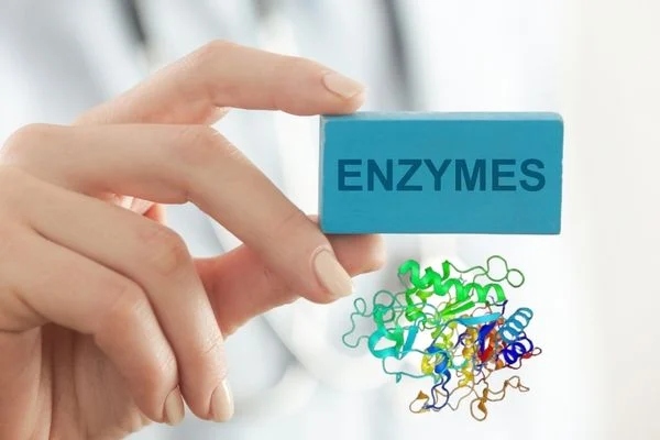 Xem ngay top 5 sản phẩm men tiêu hóa được tin dùng nhất