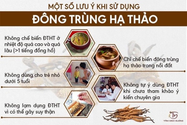 Một số lưu ý khi sử dụng đông trùng