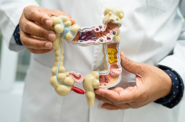 Men tiêu hoá tham gia vào quá trình phân giải thức ăn