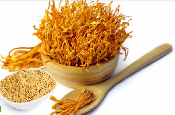 Đông trùng hạ thảo dạng bột