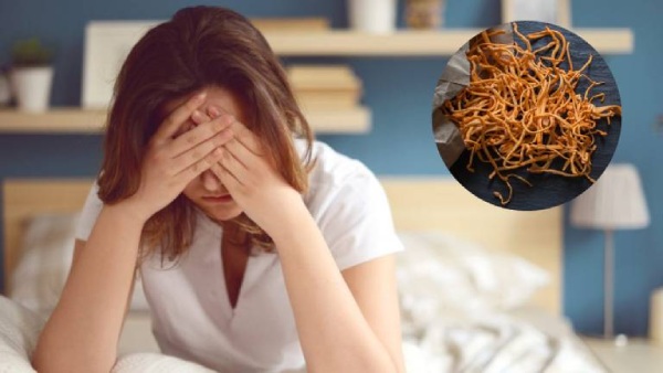 Đông trùng hạ thảo giúp giảm mệt mỏi