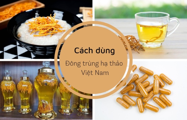 Cách sử dụng đông trùng hạ thảo