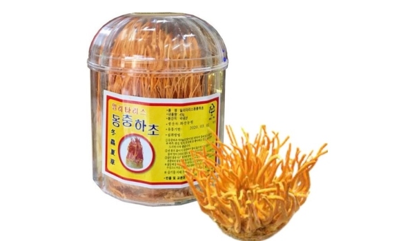 Đông trùng Hàn Quốc