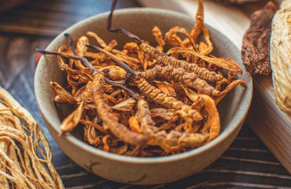 Đông trùng hạ thảo Tây Tạng