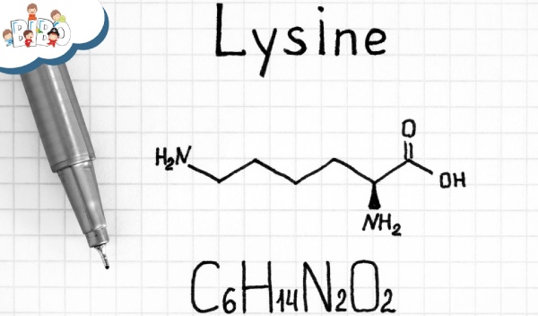 Lysine là một axit amin thiết yếu mà cơ thể không tự tổng hợp được