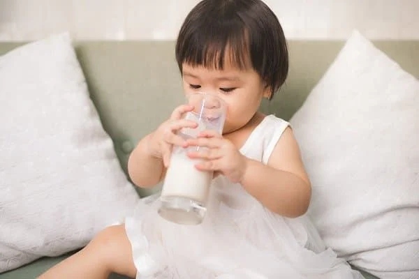 Sữa tươi phải uống hết sau ít nhất 24h sau khi mở nắp