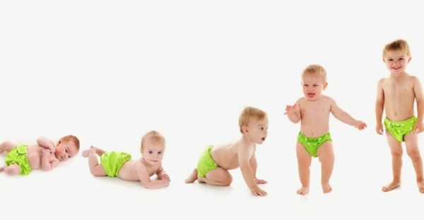 Sữa Hipp giúp bé phát triển chiều cao tự nhiên