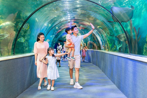 Cả nhà cùng nhau tham quan thủy cung Vinpearl Aquarium dịp Tết Thiếu nhi