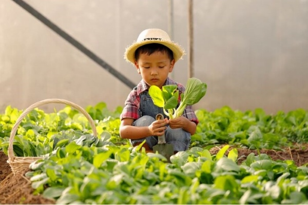 Các bé trải nghiệm trồng cây và chăm sóc vườn tại Family Garden Thảo Điền