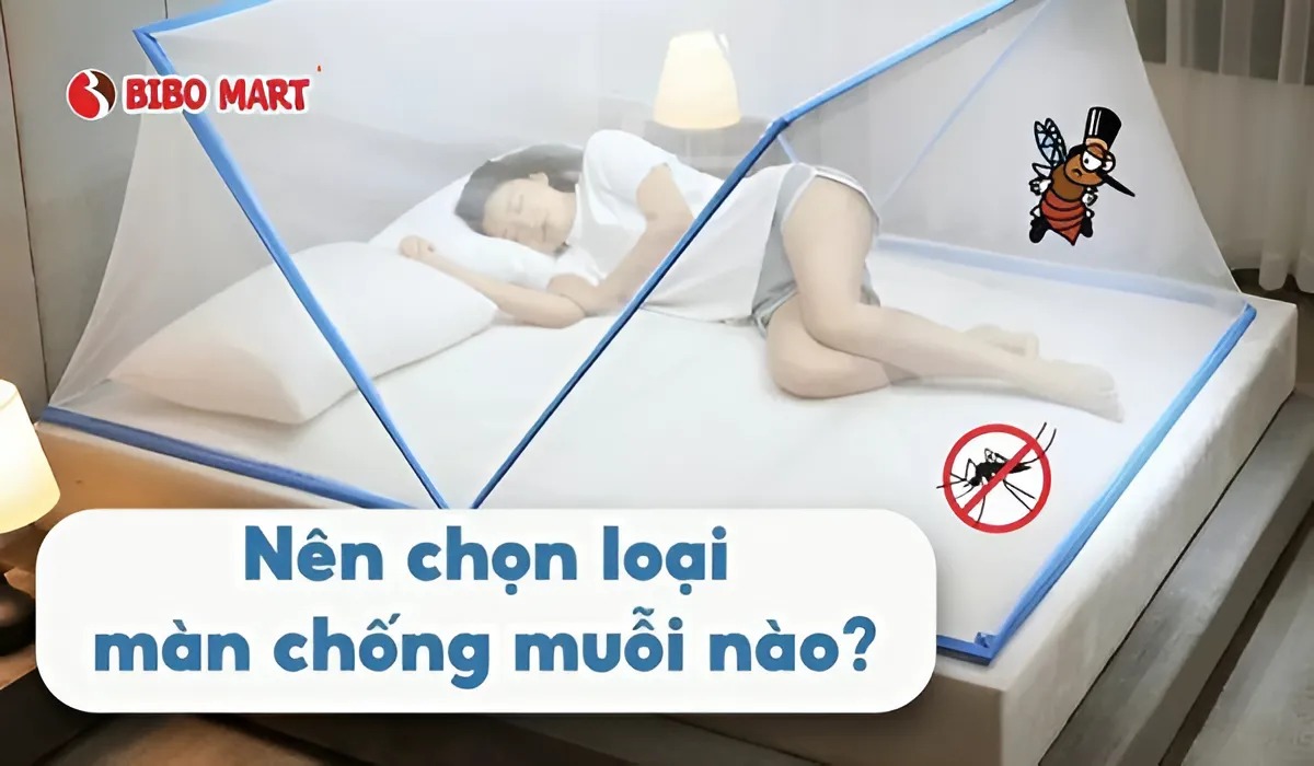Nên chọn loại màn chống muỗi nào?