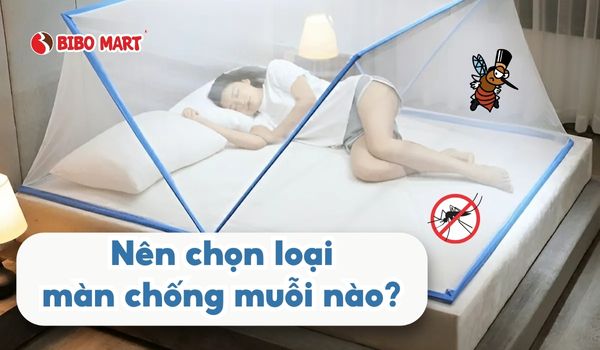 Màn chống muỗi