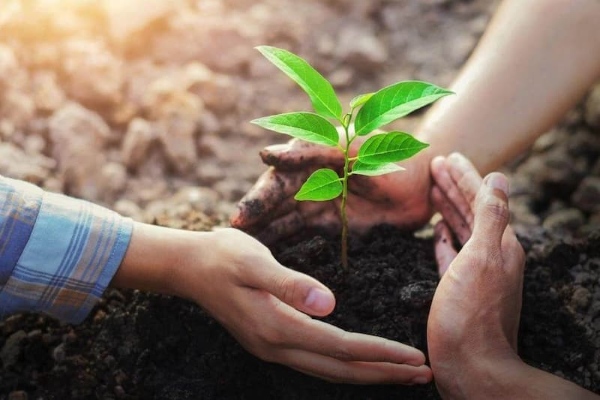Ngày Môi trường Thế giới ra đời nhấn mạnh tầm quan trọng của việc gìn giữ môi trường sống