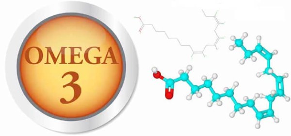 Omega 3 là gì một nhóm axit béo không no