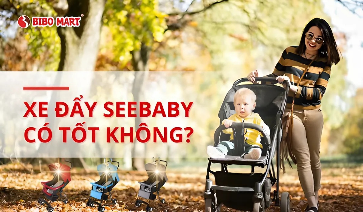 Xe đẩy Seebaby