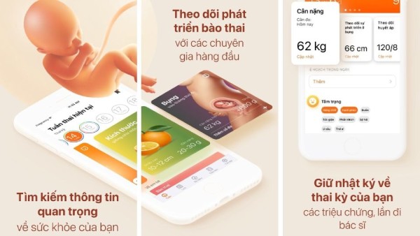 Những tính năng của ứng dụng theo dõi thai kỳ