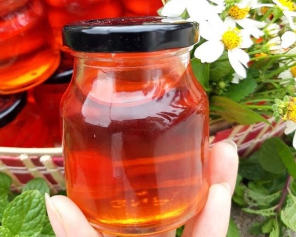 Dầu gấc tự nhiên giúp phát triển thể chất và trí não