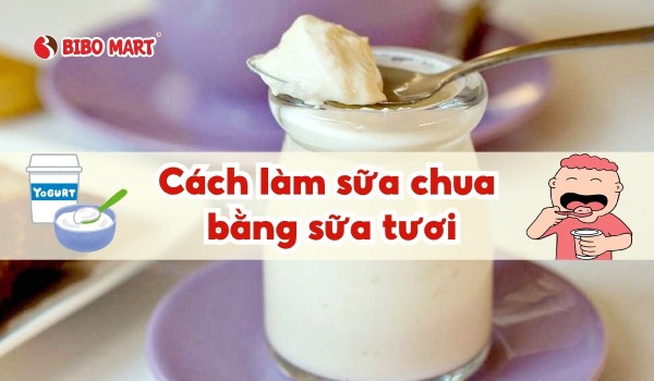 Cách làm sữa chua bằng sữa tươi