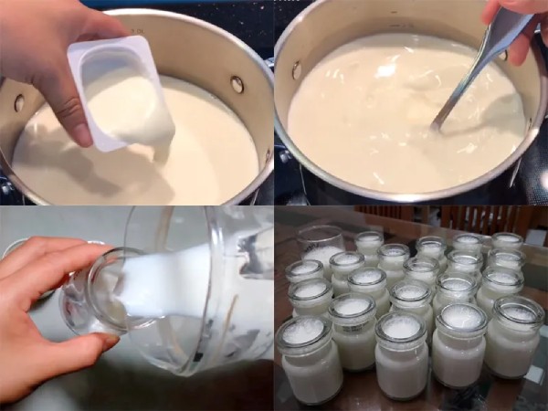 Các bước làm sữa chua từ sữa tươi đơn giản tại nhà