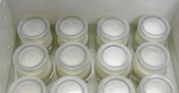 Ủ sữa chua bằng thùng xốp trong 6-8h
