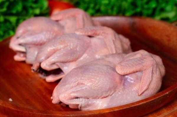 Chim bồ câu tươi mới là những con có da màu hồng hào