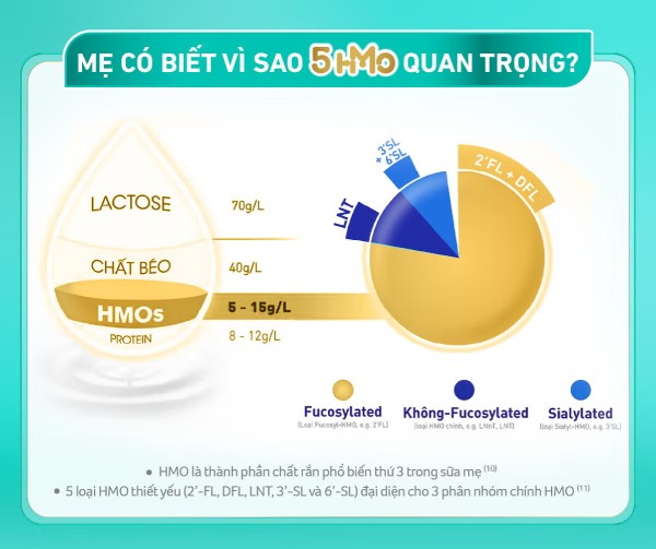 Giải đáp mẹ biết vì sao 5HMO quan trọng