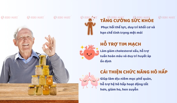 Tác dụng yến sào với người già