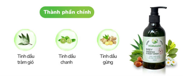 Thành phần chính sữa tắm gội VGMabebe