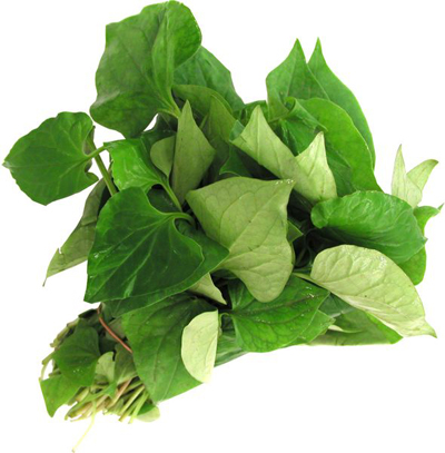 vị thuốc kháng sinh tự nhiên trị ho rất hiệu quả cho bé.