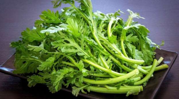 rau cải cúc trị ho